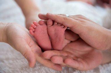 Bebeğin küçük bacakları nazikçe ebeveynin ellerinde tutulur.