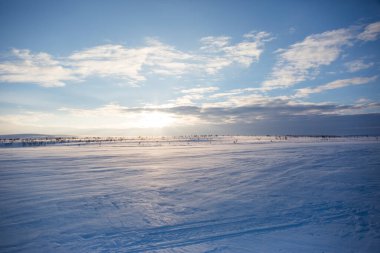 Nuorgam, Laponya, Finlandiya 'da kış manzarası