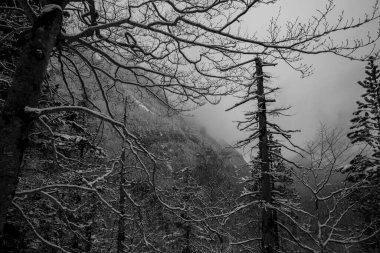 Ordesa ve Monte Perdido Ulusal Parkı, Pireneler, İspanya