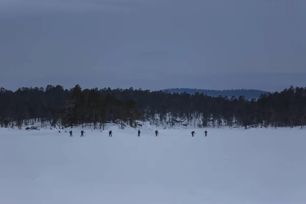 Expédition Ski Lac Inari Laponie Finlande — Photo