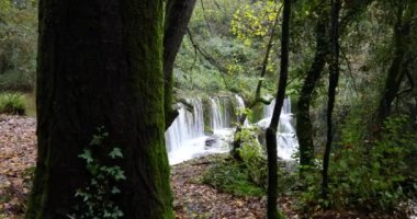 Can Batlle, La Garrotxa, Girona, Katalonya, İspanya 'da sonbahar sahnesi