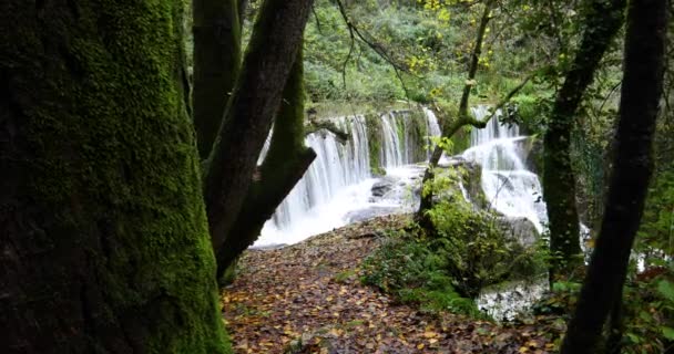 Herfstscène Can Batlle Garrotxa Girona Catalonië Spanje — Stockvideo