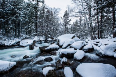 Capcir, Cerdagne, Pyrenees, Fransa 'da kış nehri.