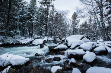 Capcir, Cerdagne, Pyrenees, Fransa 'da kış nehri.
