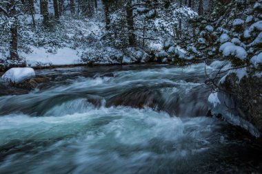 Capcir, Cerdagne, Pyrenees, Fransa 'da kış nehri.