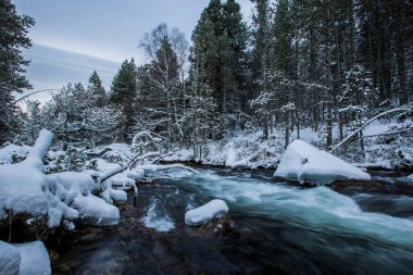 Capcir, Cerdagne, Pyrenees, Fransa 'da kış nehri.