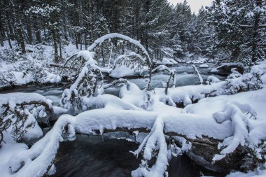 Capcir, Cerdagne, Pyrenees, Fransa 'da kış nehri.