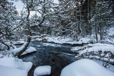 Capcir, Cerdagne, Pyrenees, Fransa 'da kış nehri.
