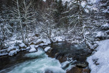 Capcir, Cerdagne, Pyrenees, Fransa 'da kış nehri.