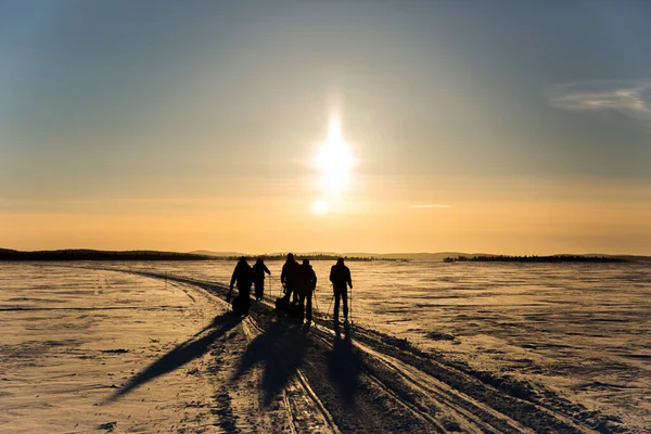フィンランド ラップランド 稲荷湖でのスキー遠征 — ストック写真