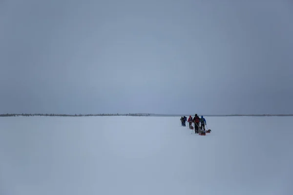Skiekspedisjon Inariasjøen Lappland Finland – stockfoto