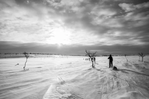 Ski Expeditie Nuorgam Lapland Finland — Stockfoto