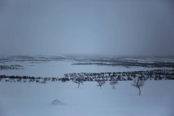 Зимовий Пейзаж Нуоргамі Лапландія Фінляндія — стокове фото