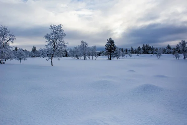 Paisaje Invernal Nuorgam Laponia Finlandia —  Fotos de Stock