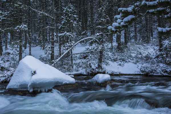 Río Invierno Capcir Cerdeña Pirineos Francia — Foto de Stock