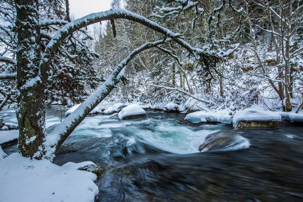 Río Invierno Capcir Cerdeña Pirineos Francia — Foto de Stock