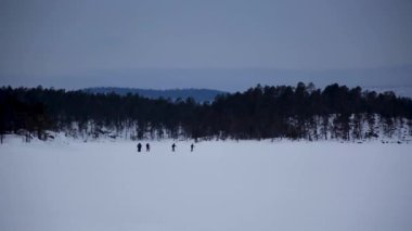 Ren geyikleri ve kayak seferi Inari Gölü, Laponya, Finlandiya