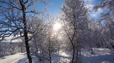 Nuorgam, Laponya, Finlandiya 'da kayak gezisi