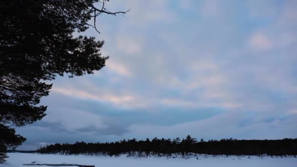 Paisaje Invernal Inari Lake Laponia Finlandia — Vídeo de stock