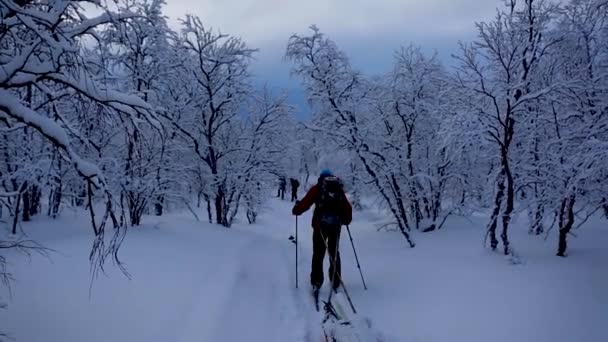 Expedição Esqui Nuorgam Lapônia Finlândia — Vídeo de Stock