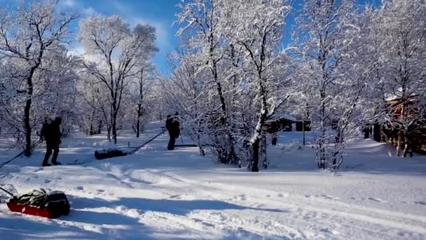 Expedición Esquí Nuorgam Laponia Finlandia — Vídeo de stock