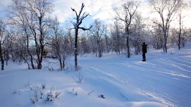 Hundeschlittenexpedition Nuorgam Lappland Finnland — Stockvideo
