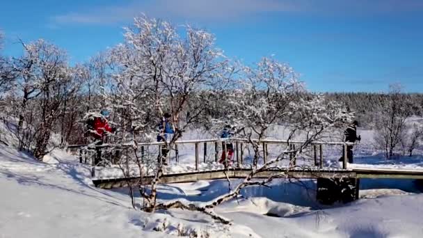 Wyprawa Narciarska Nuorgam Laponia Finlandia — Wideo stockowe