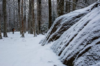 Ordesa ve Monte Perdido Ulusal Parkı, Pireneler, İspanya
