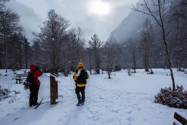 Invierno Parque Nacional Ordesa Monte Perdido Pirineos España —  Fotos de Stock