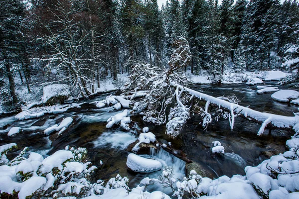 Río Invierno Capcir Cerdeña Pirineos Francia — Foto de Stock