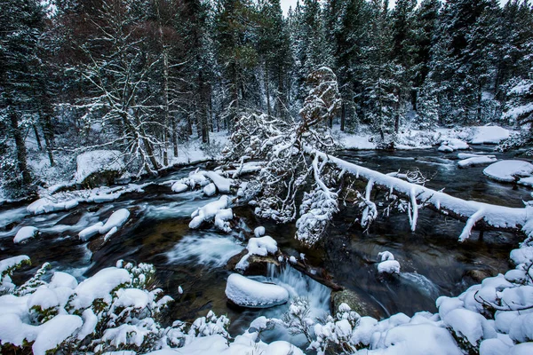 Rio Inverno Capcir Cerdagne Pirinéus França — Fotografia de Stock