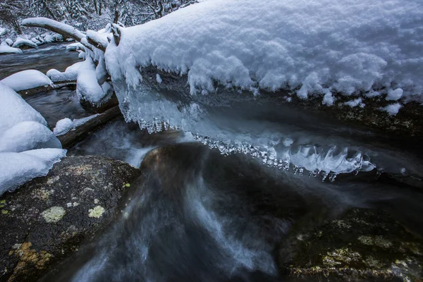 Río Invierno Capcir Cerdeña Pirineos Francia — Foto de Stock