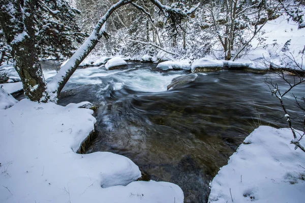 Río Invierno Capcir Cerdeña Pirineos Francia — Foto de Stock