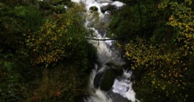 Can Batlle, La Garrotxa, Girona, Katalonya, İspanya 'da sonbahar sahnesi
