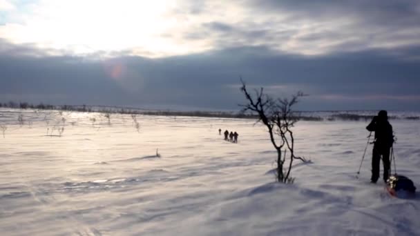 Wyprawa Narciarska Nuorgam Laponia Finlandia — Wideo stockowe
