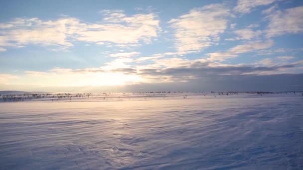 Skitour Nuorgam Lappland Finnland — Stockvideo