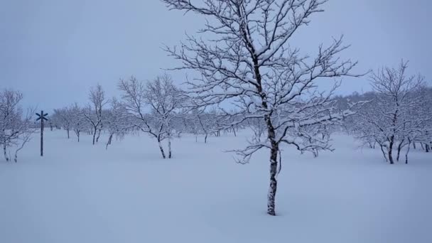 Χειμερινό Τοπίο Στο Nuorgam Λαπωνία Φινλανδία — Αρχείο Βίντεο