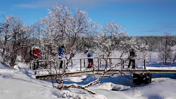 フィンランド ラップランド ヌオルガムでのスキー遠征 — ストック動画