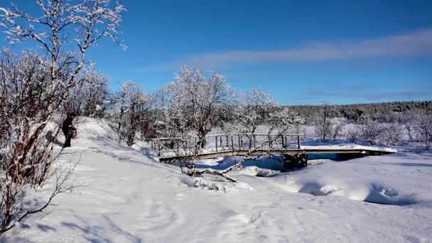 Síexpedíció Nuorgamban Lappföldön Finnországban — Stock videók