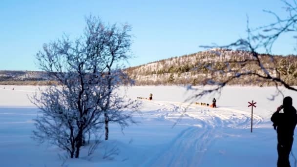 Expédition Traîneau Chiens Nuorgam Laponie Finlande — Video