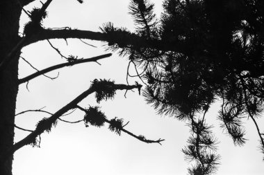 Capcir dağlarında sonbahar günbatımı, Cerdagne, Pyrenees, Güney Fransa. Avrupa.