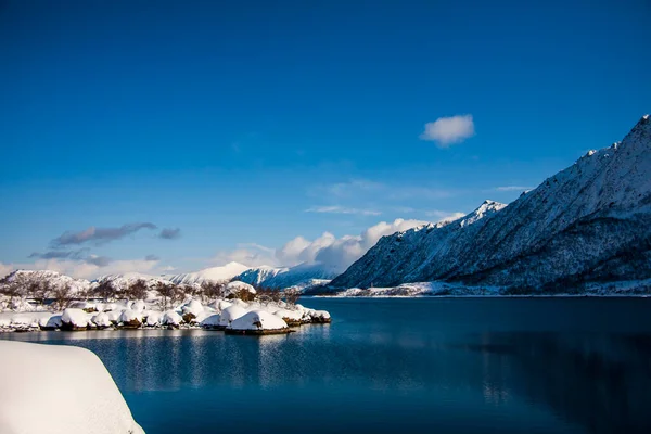 Winter Auf Den Lofoten Northern Norwegen — Stockfoto