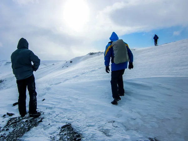 Зимовий Пейзаж Півдні Ісландії Північна Європа — стокове фото