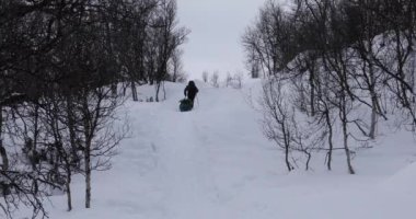 Norveç 'teki Dovrefjell Ulusal Parkı' nda kayak gezisi