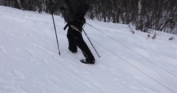Лыжная Экспедиция Национальный Парк Доврефьель Норвегия — стоковое видео