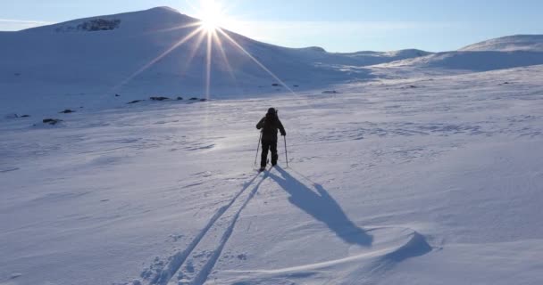 Norveç Teki Dovrefjell Ulusal Parkı Nda Kayak Gezisi — Stok video