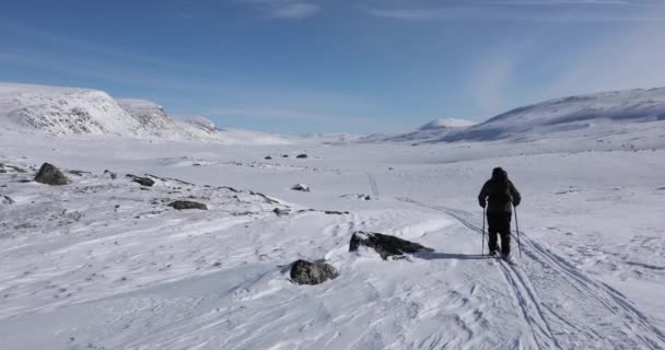 ドヴレフェル国立公園 ノルウェーのスキー遠征 — ストック動画