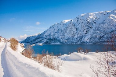 Lofoten Adaları 'nda kış, Kuzey, Norveç.