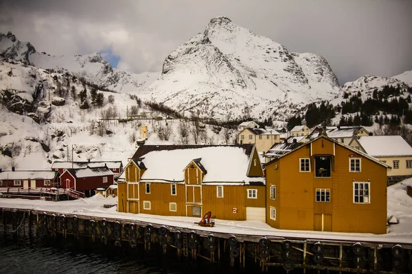 Hiver Dans Les Îles Lofoten Nord Norvège — Photo