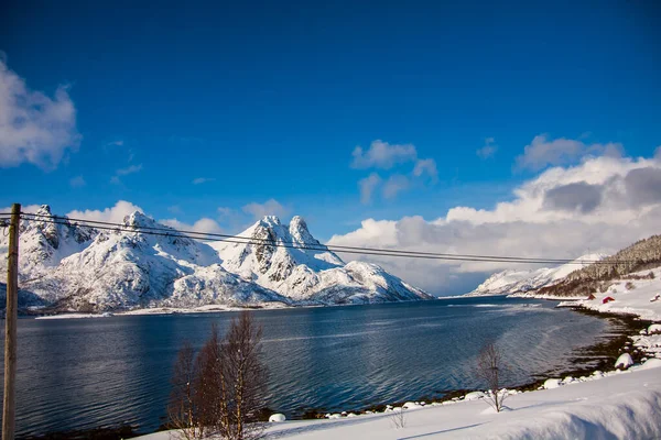 Tél Lofoten Szigeteken Észak Norvégia — Stock Fotó